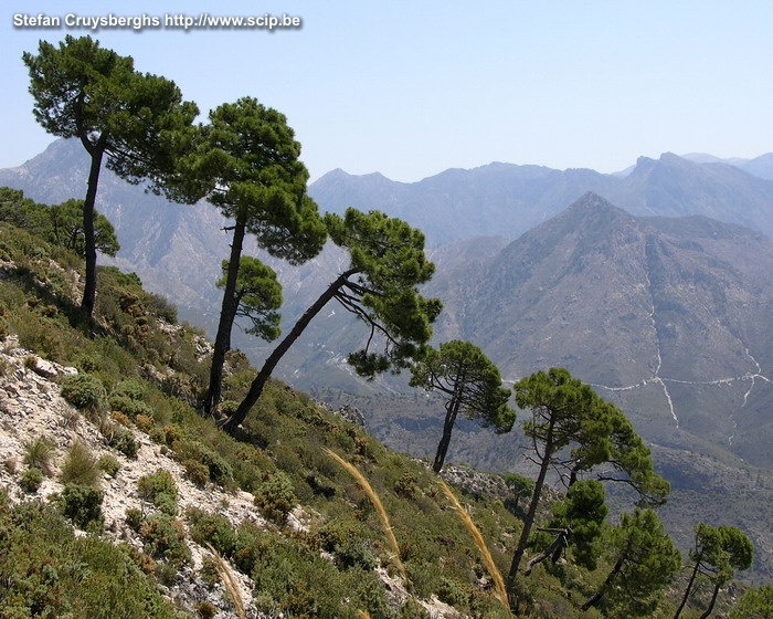 Sierras de Tejeda Het natuurpark van Sierras de Tejeda ligt nabij Malaga en de kust van de Costa del Sol. Vanuit het stadje Canillas de Albaida maakten we enkele dagtochten. Stefan Cruysberghs